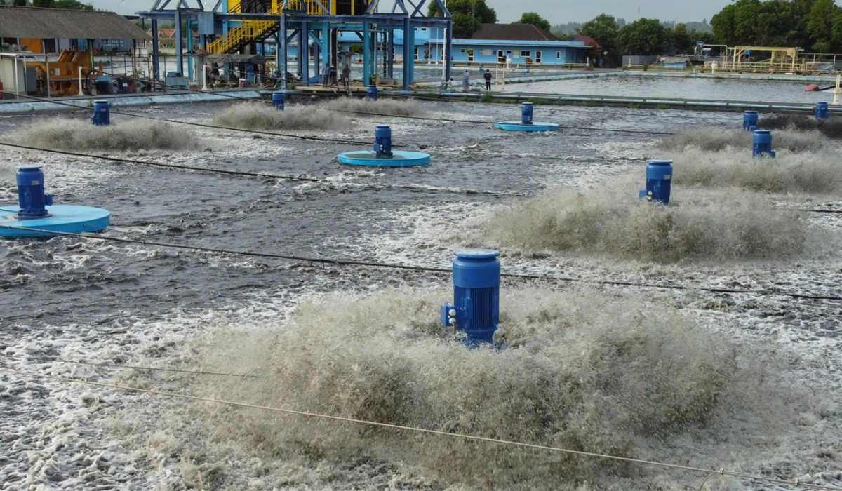 Upaya Mengatasi Bau di Waduk Sunter Demi Kenyamanan Asian Games 2018