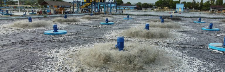 Read more about the article Upaya Mengatasi Bau di Waduk Sunter Demi Kenyamanan Asian Games 2018