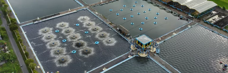 Read more about the article Peningkatan Kapasitas dan Efisiensi IPAL Sewon dengan Teknologi Aquaromix