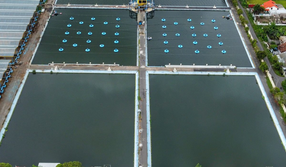 Air Limbah dan Peringatan Hari Lingkungan Hidup Sedunia