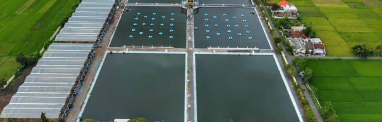 Read more about the article Air Limbah dan Peringatan Hari Lingkungan Hidup Sedunia